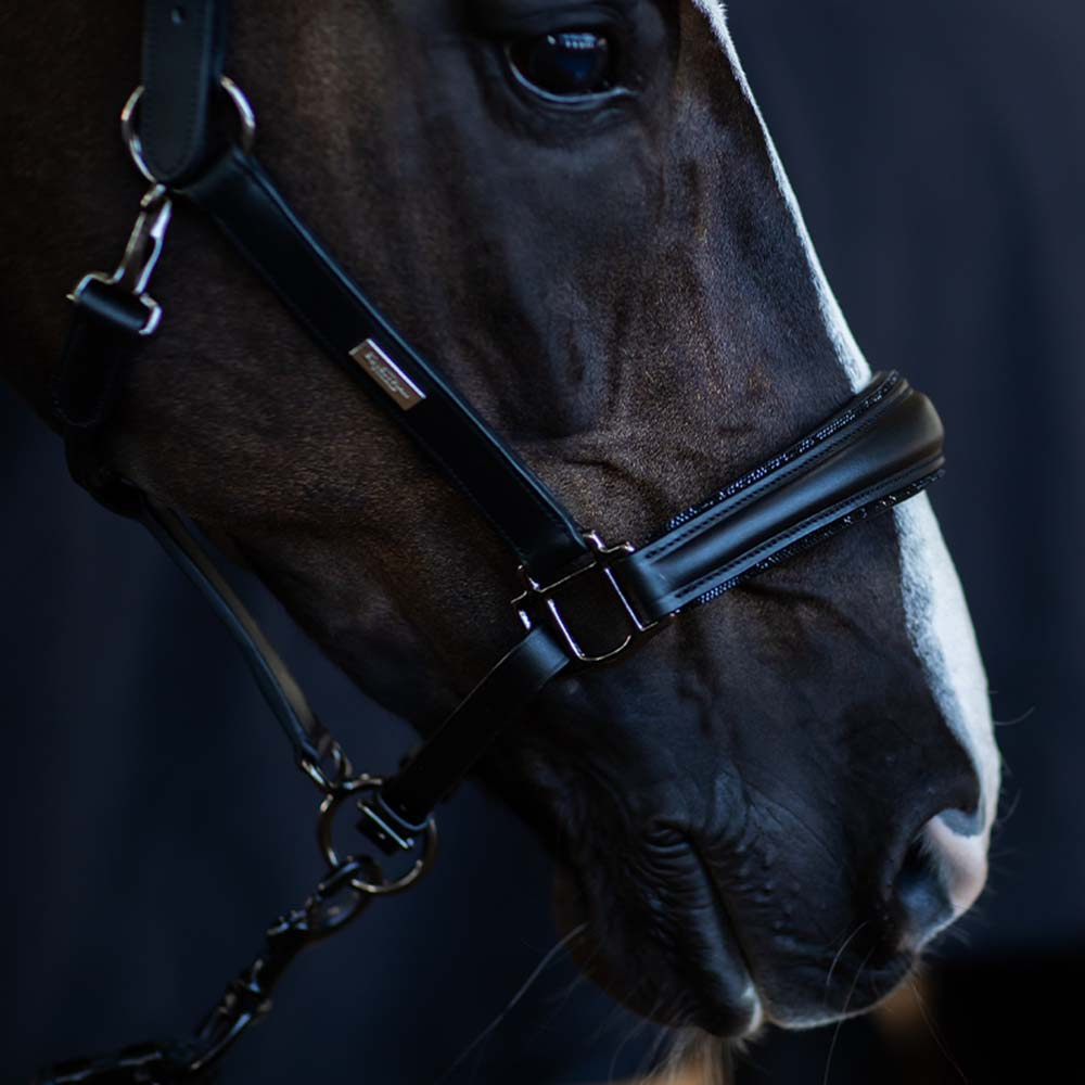 Anatomiczny kantar skórzany ES Glimmer Black Edition