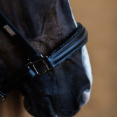 Anatomiczny kantar skórzany ES Glimmer Black Edition Anatomiczny kantar skórzany ES Glimmer Black Edition