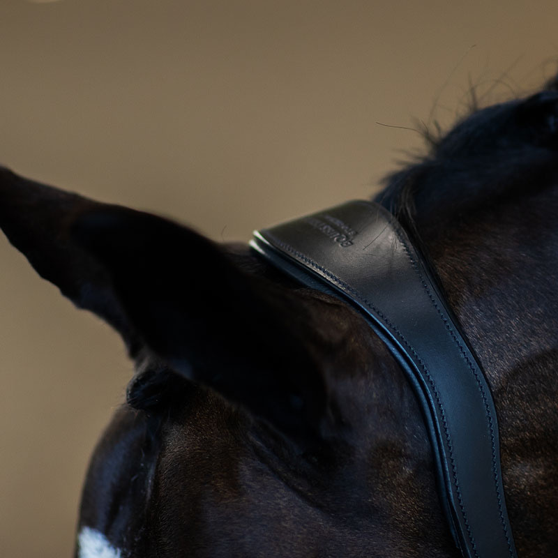 Anatomiczny kantar skórzany ES Glimmer Black Edition