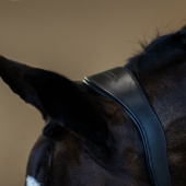 Anatomiczny kantar skórzany ES Glimmer Black Edition Anatomiczny kantar skórzany ES Glimmer Black Edition