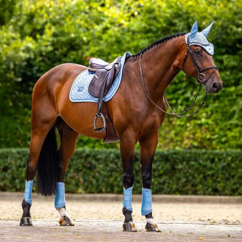 Czaprak ES Modern Midsummer Blue