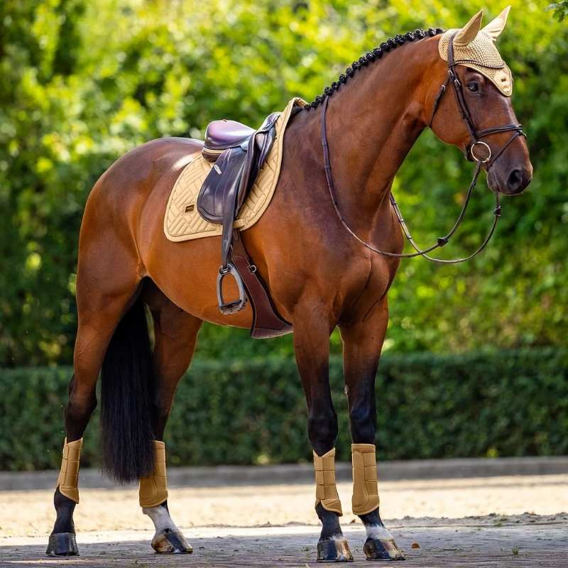 Czaprak ES Modern Midsummer Glow