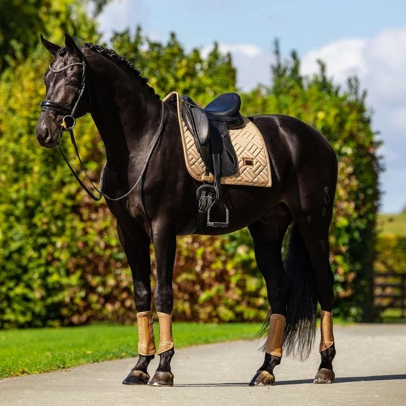 Czaprak ujeżdżeniowy ES Modern Midsummer Glow