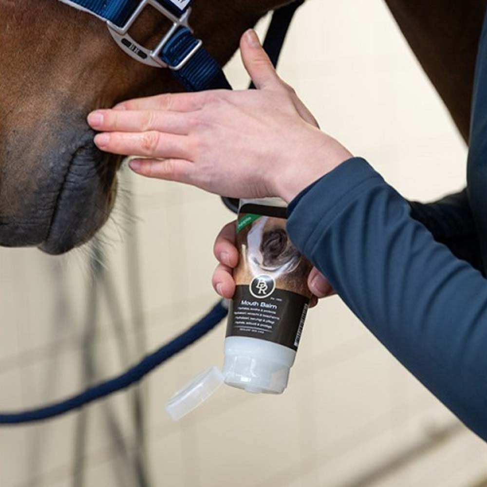 Balsam do kącików pyska konia jabłkowy 150ml