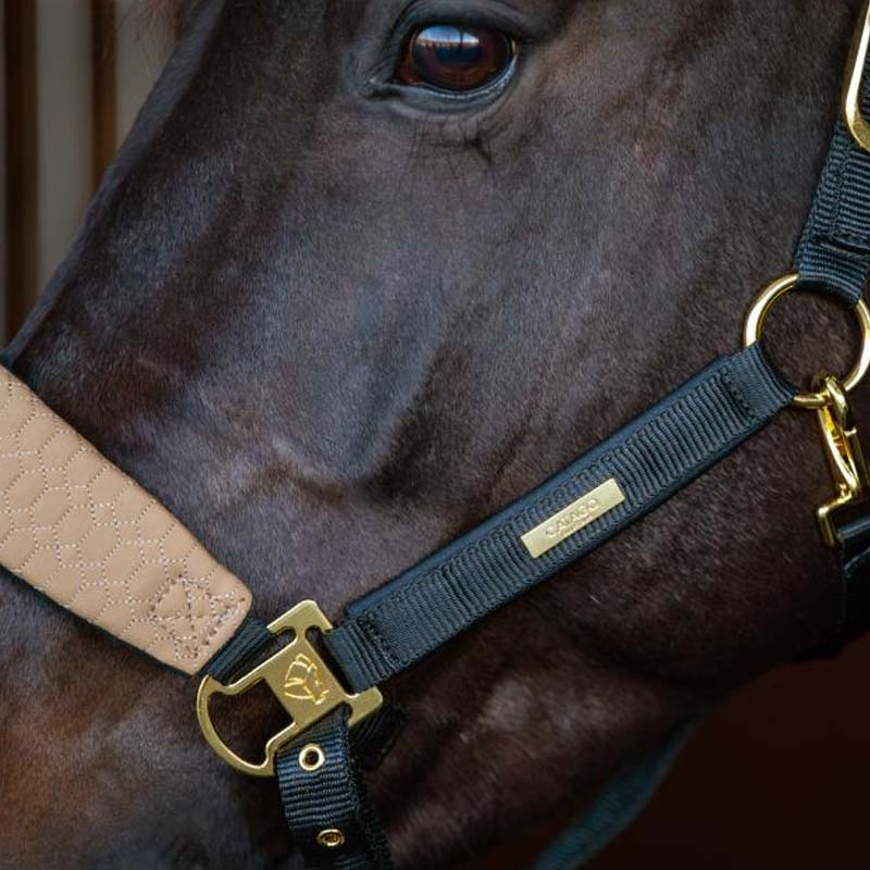 Kantar FIR-Tech Grand Beżowy