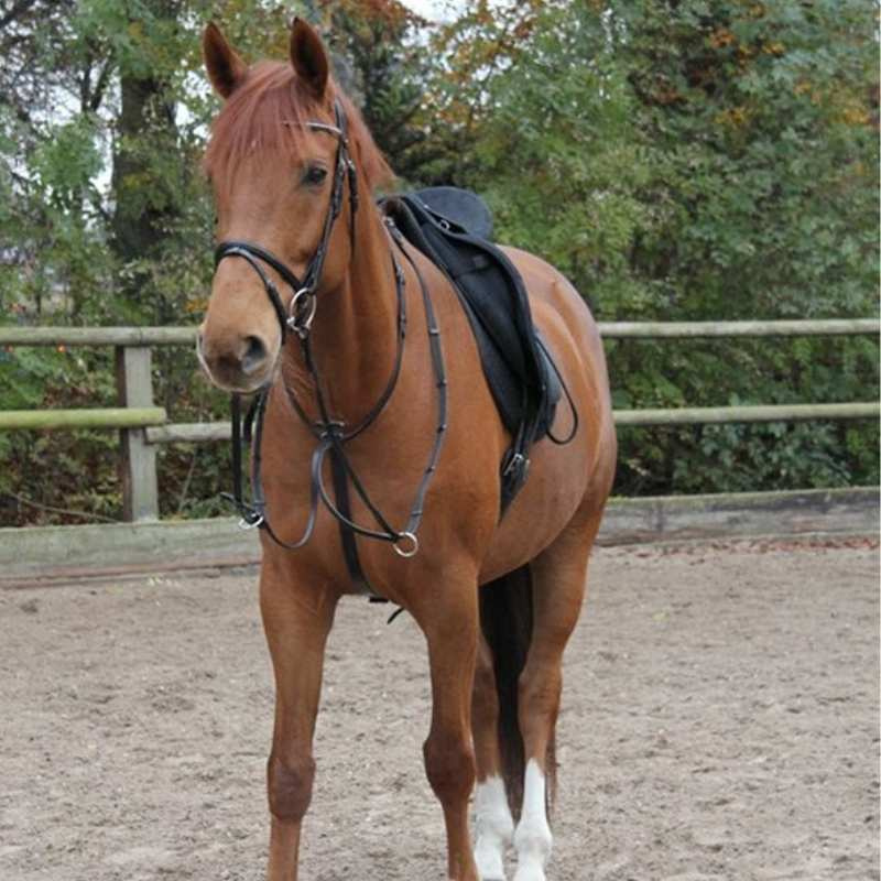 Wytok Basic Czarny