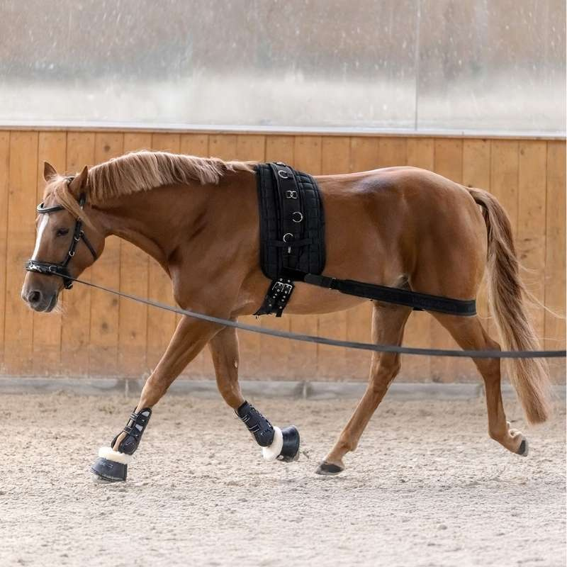Body Bandage Elastic CzarnyCob/Full