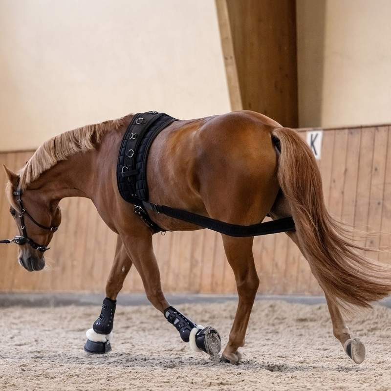 Body Bandage Elastic CzarnyCob/Full
