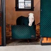 Bariera na boks Ciemnozielona Bariera na boks Ciemnozielona