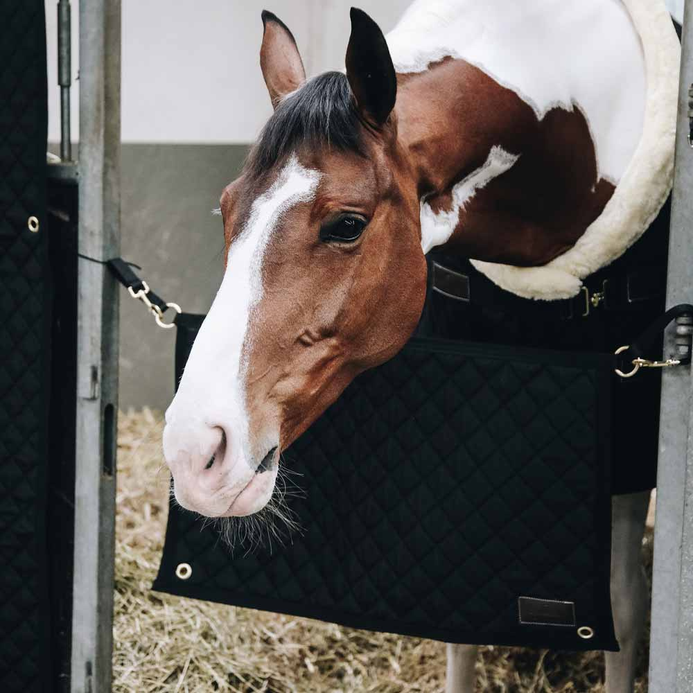 Bariera na boks Czarna