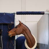 Ochraniacz boksu Head Protector Granatowy Ochraniacz boksu Head Protector Granatowy