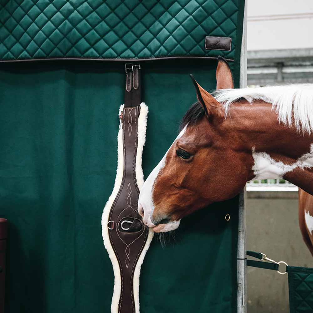 Zasłona stajenna Waterproof Ciemnozielona