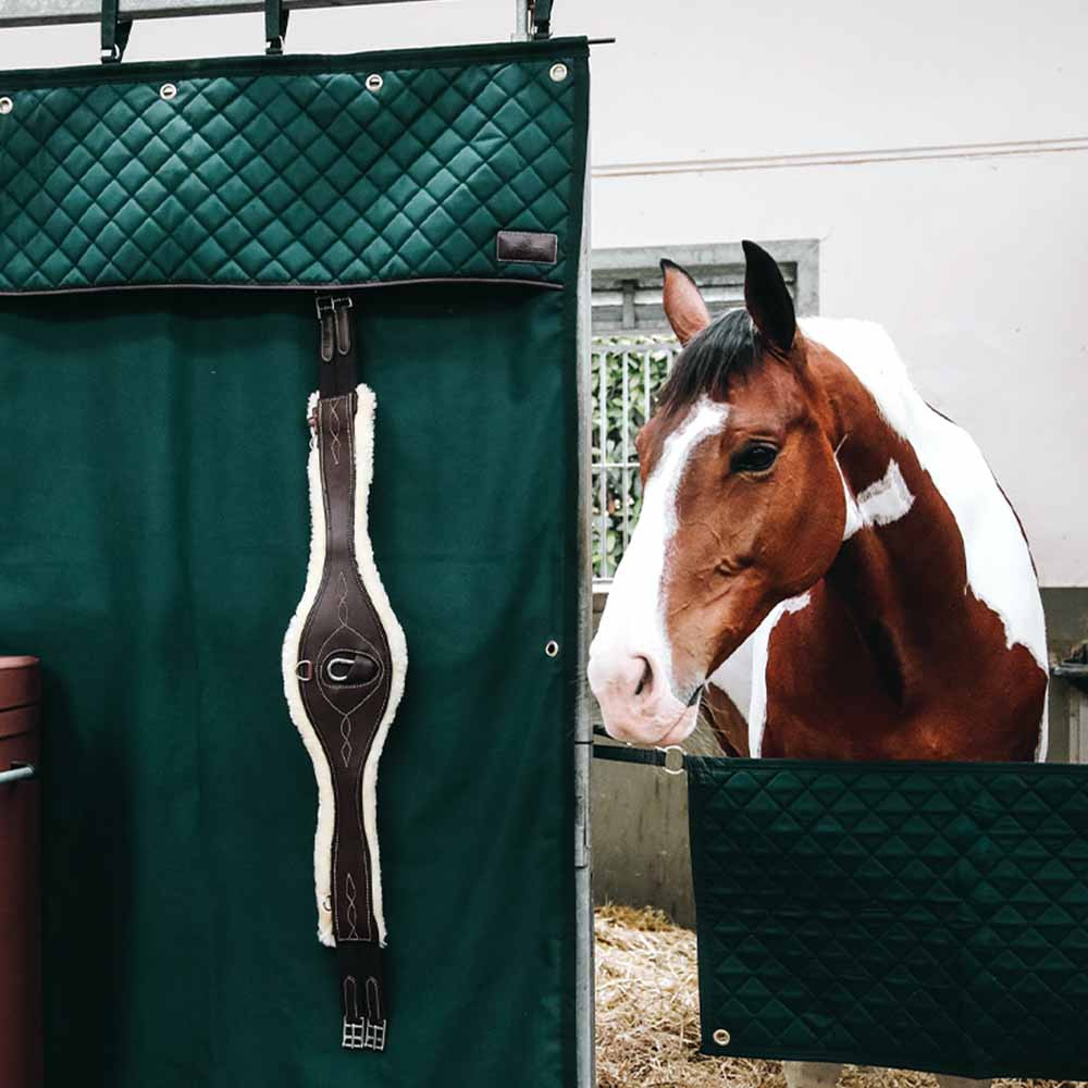 Zasłona stajenna Waterproof Ciemnozielona