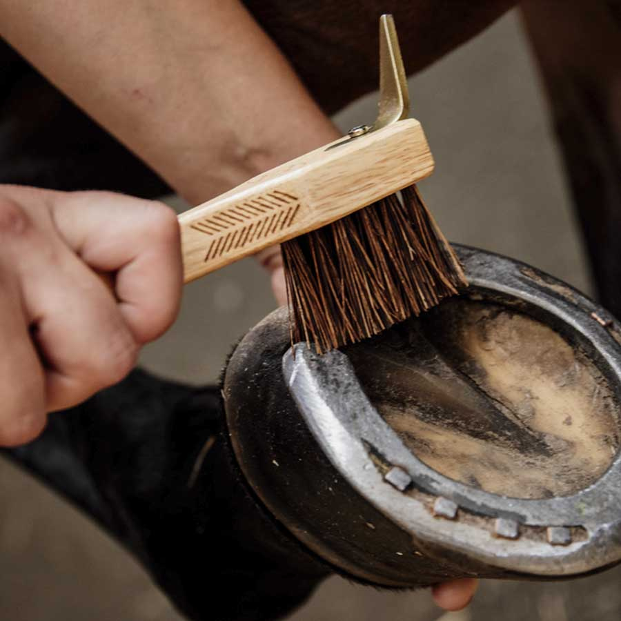 Kopystka ze szczotką Brązowa