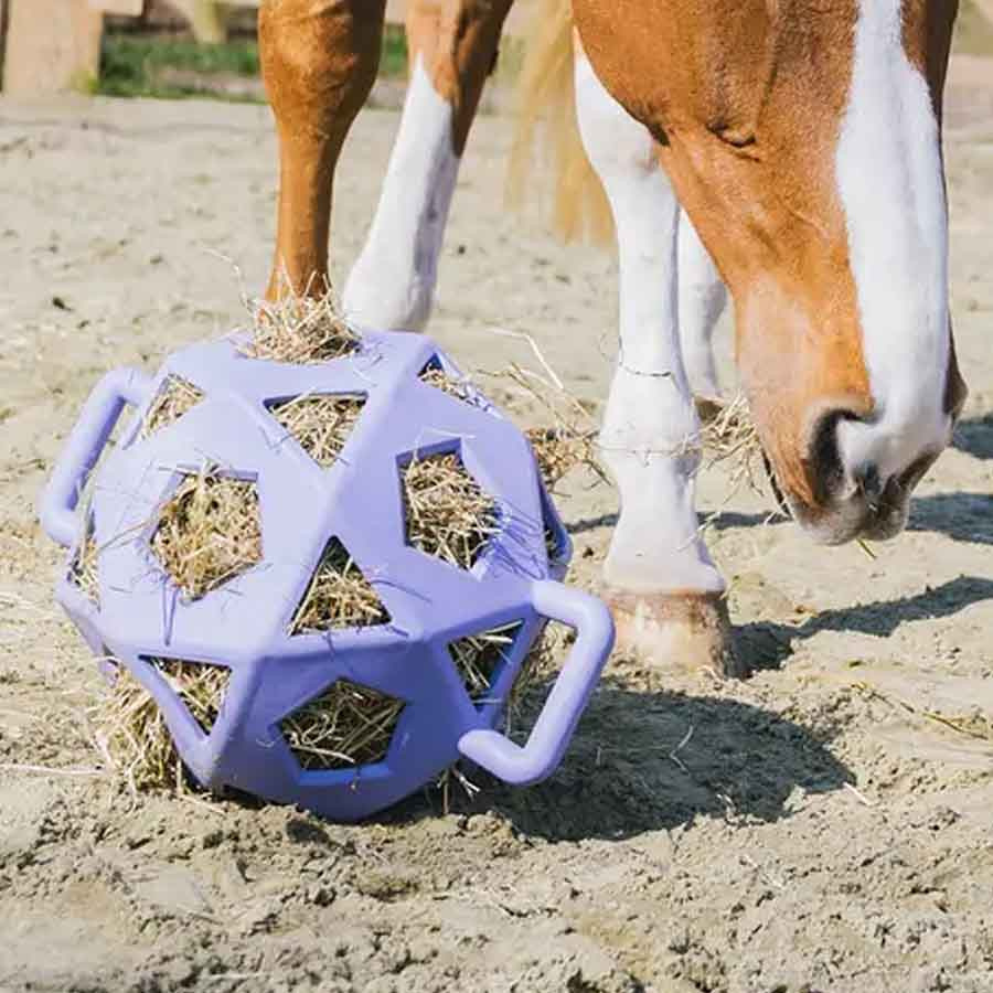 Piłka na siano Relax Play & Hay Fioletowa