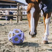 Piłka na siano Relax Play & Hay Fioletowa Piłka na siano Relax Play & Hay Fioletowa