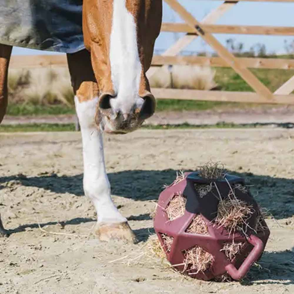 Piłka na siano Relax Play & Hay Bordowa