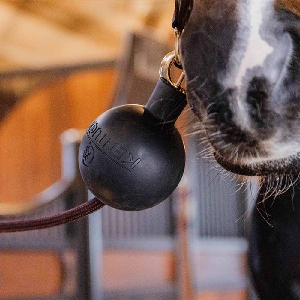 Kula ochronna do uwiązu Lead & Wall Protection Czarna