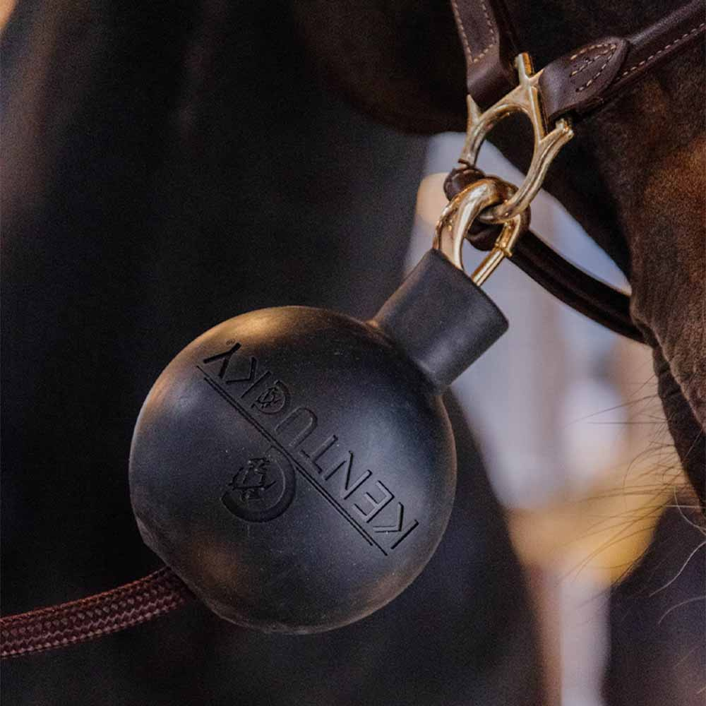 Kula ochronna do uwiązu Lead & Wall Protection Czarna