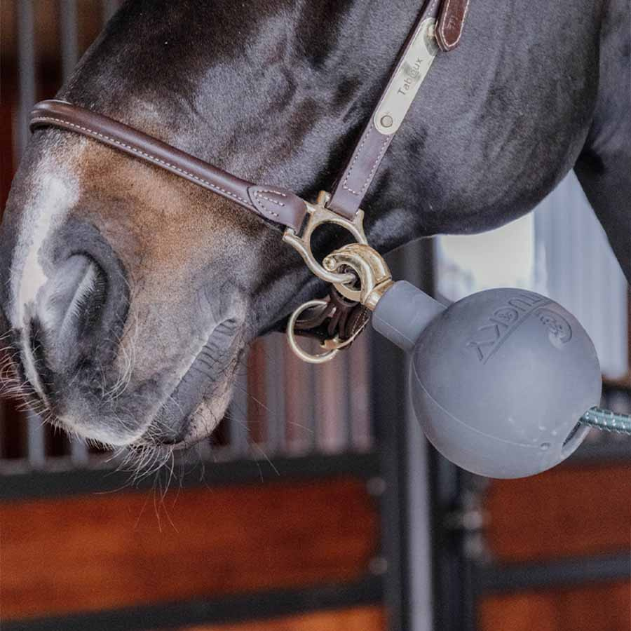 Kula ochronna do uwiązu Lead & Wall Protection Ciemnoszara