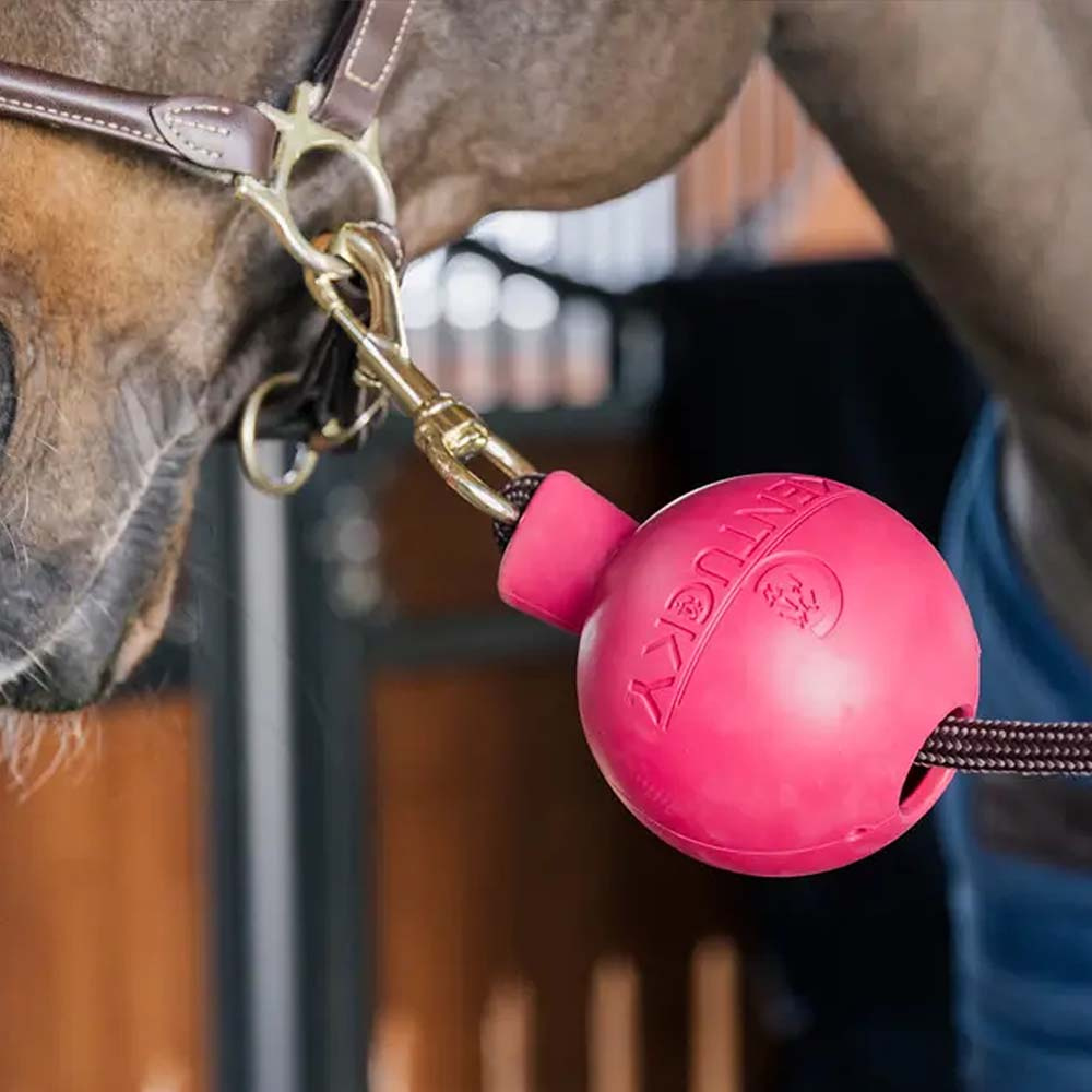 Kula ochronna do uwiązu Lead & Wall Protection Różowa