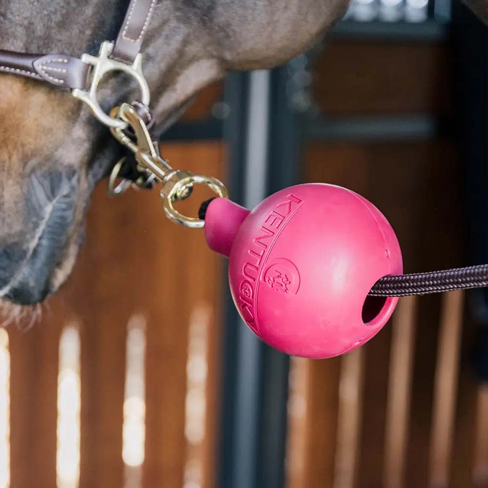 Kula ochronna do uwiązu Lead & Wall Protection Różowa