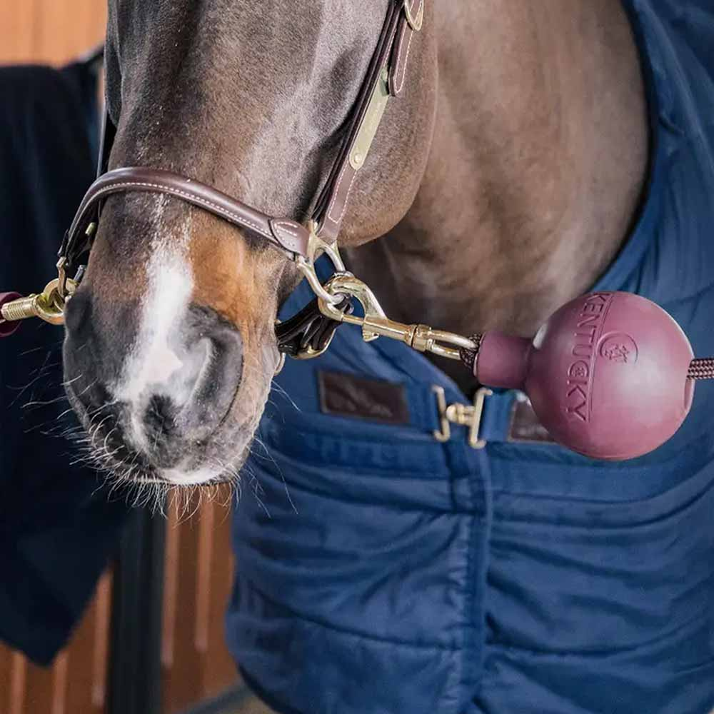 Kula ochronna do uwiązu Lead & Wall Protection Bordowa