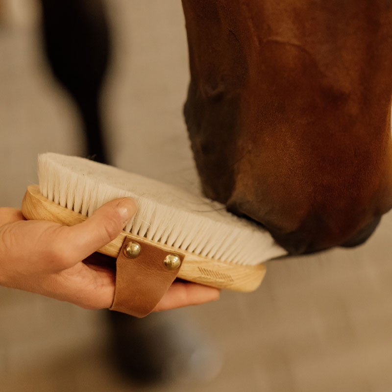 Szczotka do pielęgnacji Overall Soft