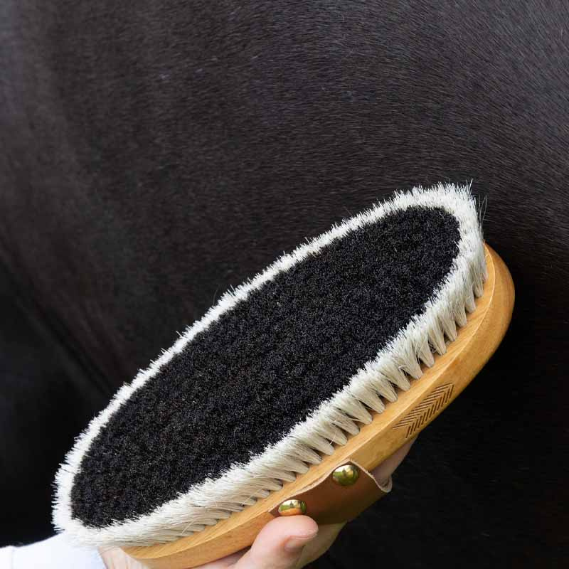 Szczotka do pielęgnacji Overall Shine