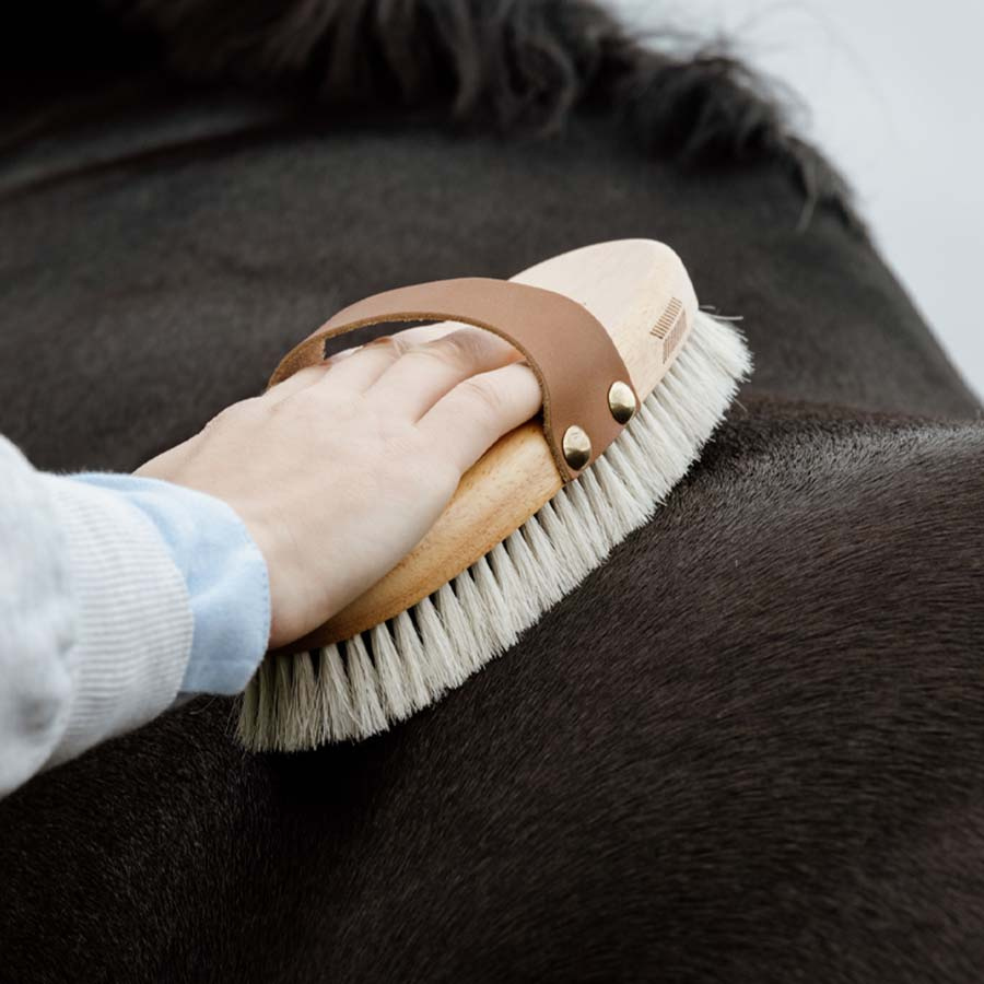 Szczotka do pielęgnacji Overall Shine