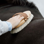 Szczotka do pielęgnacji Overall Shine Szczotka do pielęgnacji Overall Shine