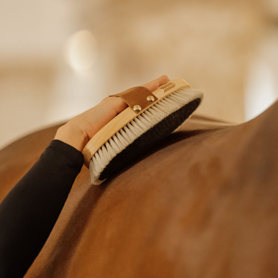 Szczotka do pielęgnacji Overall Shine