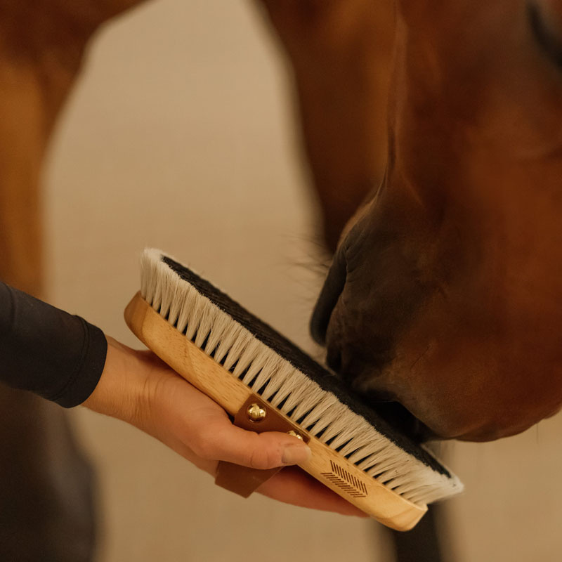 Szczotka do pielęgnacji Overall Shine