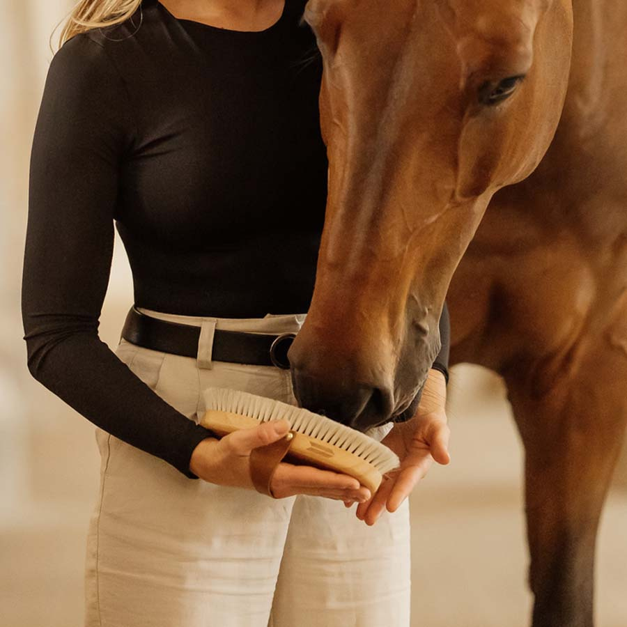 Szczotka do pielęgnacji Overall Shine