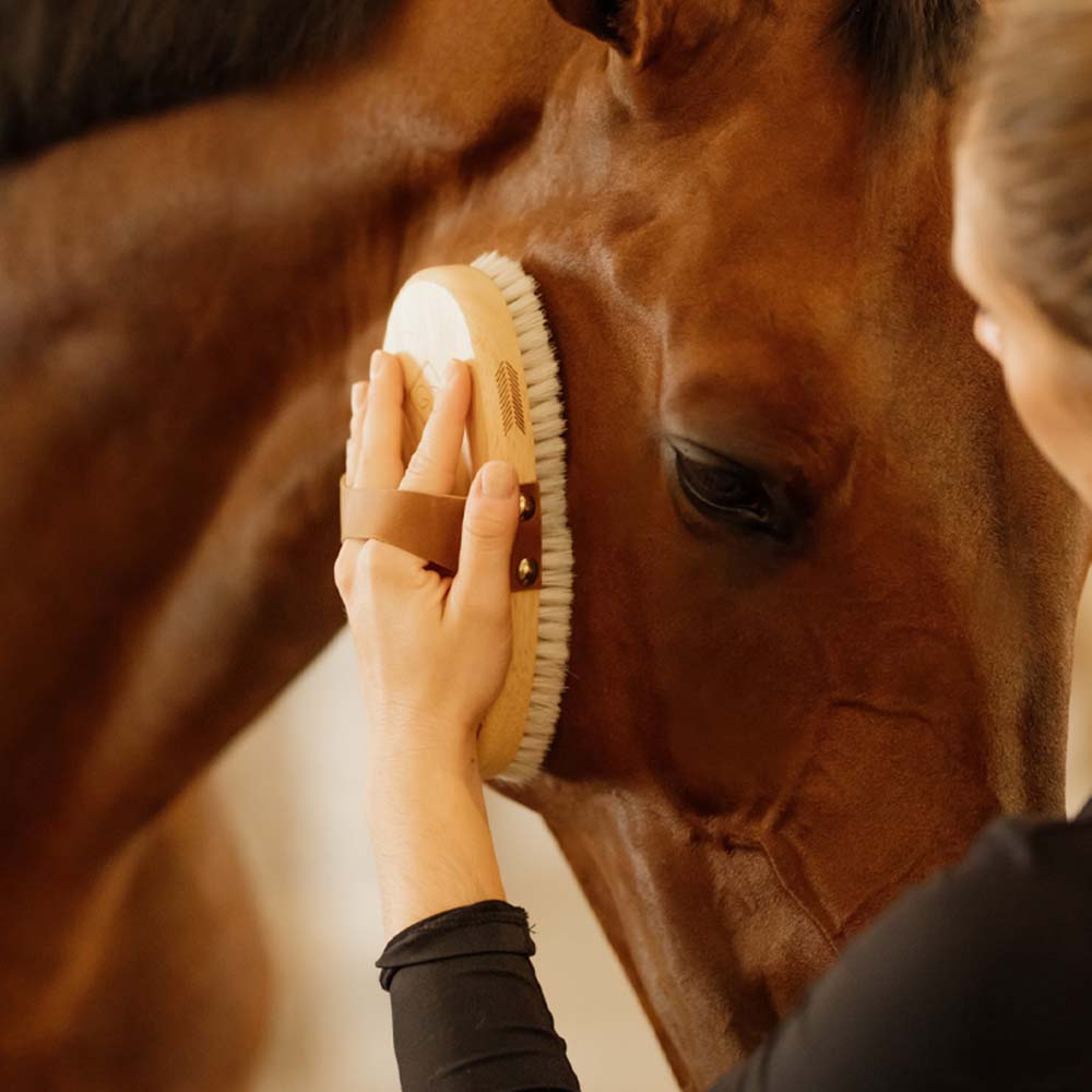 Szczotka do pielęgnacji Overall Soft Shine