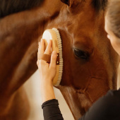 Szczotka do pielęgnacji Overall Soft Shine Szczotka do pielęgnacji Overall Soft Shine