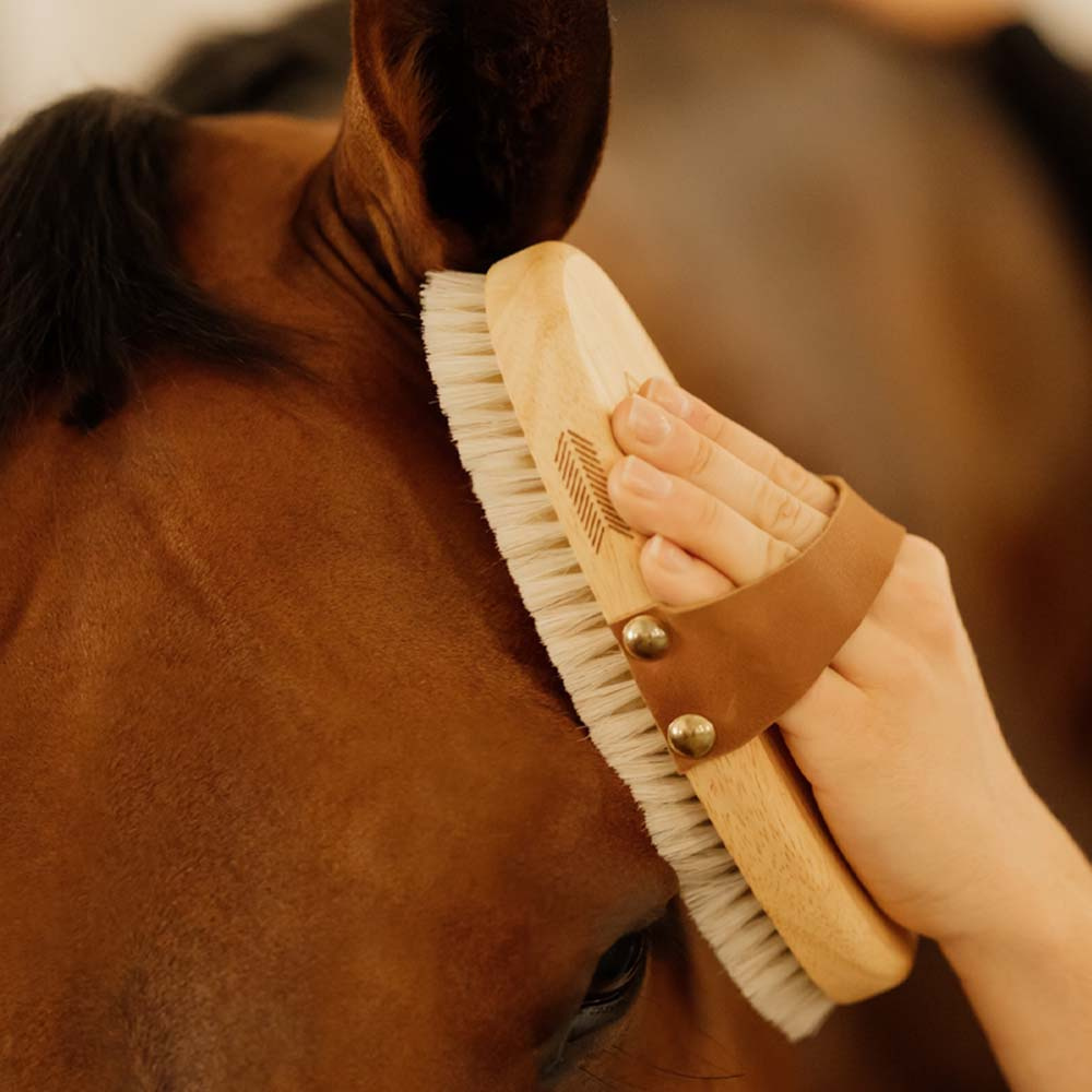 Szczotka do pielęgnacji Overall Soft Shine