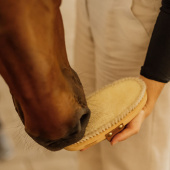 Szczotka do pielęgnacji Overall Soft Shine Szczotka do pielęgnacji Overall Soft Shine