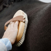 Szczotka do pielęgnacji Overall Soft Shine Szczotka do pielęgnacji Overall Soft Shine