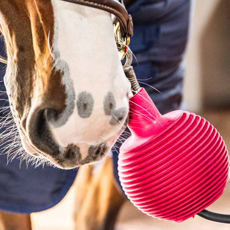 Piłka ochronna Lead & Wall Protection Rubber Pro Różowa