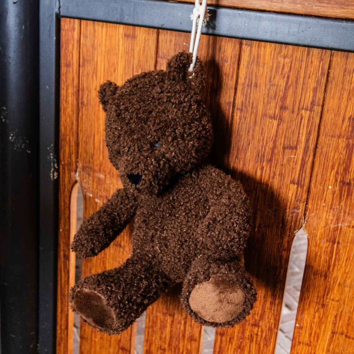 Zabawka dla konia Relax Bear Brązowa