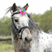 Róg Jednorożca Rainbow Róg Jednorożca Rainbow