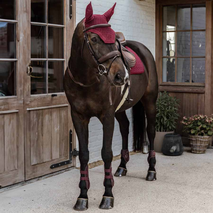 Ochraniacze skokowe przód Bamboo Elastic Bordowe
