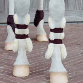 Ochraniacze skokowe przód Vegan Sheepskin Bamboo Elastic Bordowe Ochraniacze skokowe przód Vegan Sheepskin Bamboo Elastic Bordowe