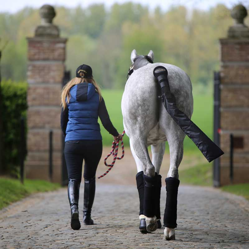 Ochraniacz na ogon Czarny