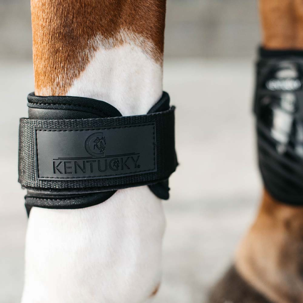 Ochraniacze skokowe tył Shield Czarne