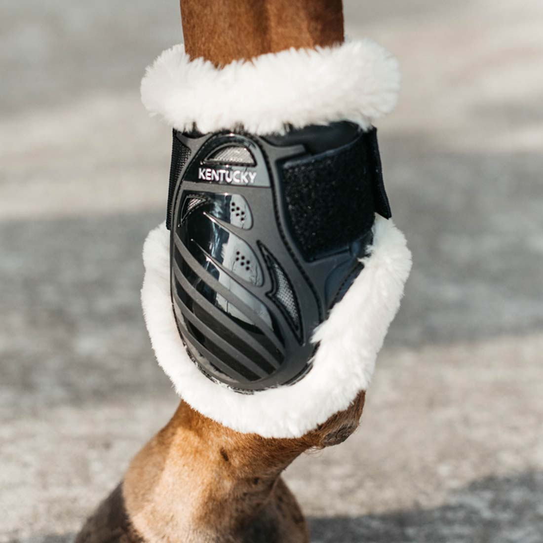 Ochraniacze skokowe tył Sheepskin Shield Czarne