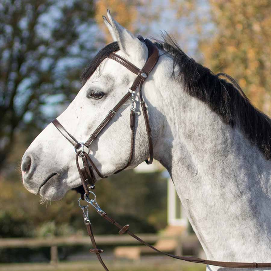 Ogłowie bezwędzidłowe Ceto Brązowe