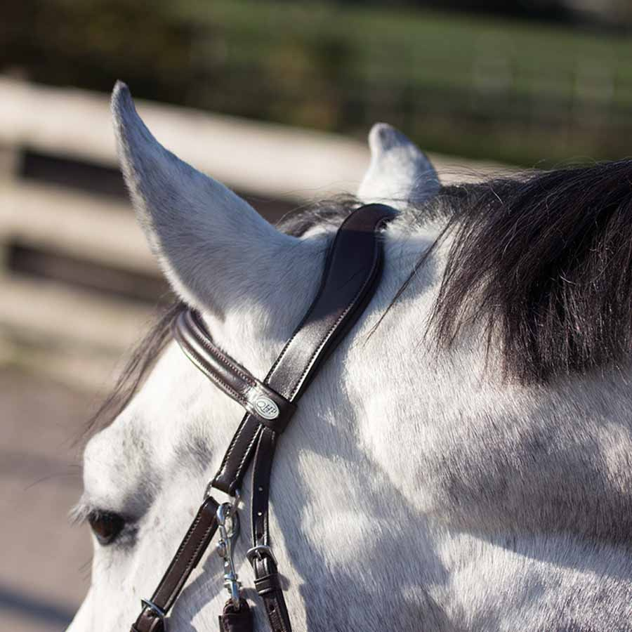 Ogłowie bezwędzidłowe Ceto Brązowe