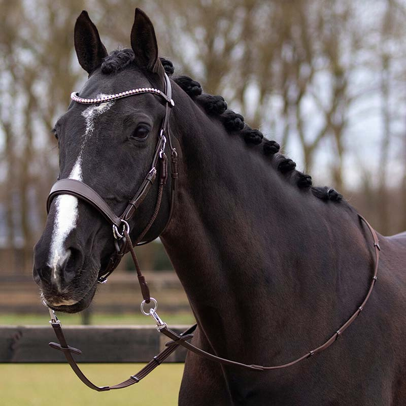 Ogłowie bezwędzidłowe Sunna Brązowe